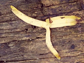 High angle view of bananas on tree
