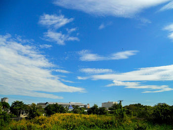 Trees growing on field against sky