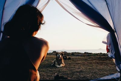 Dog relaxing on beach