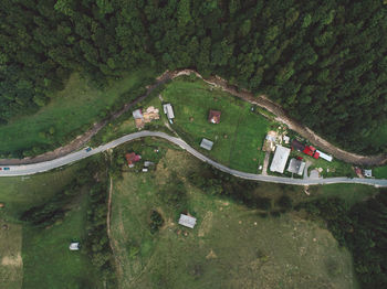 High angle view of road amidst trees