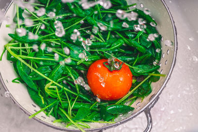 High angle view of tomatoes in bowl on table