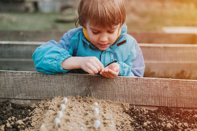 Spring planting seeding in farm garden. kid boy farmer gardener plants sow vegetable seeds in soil