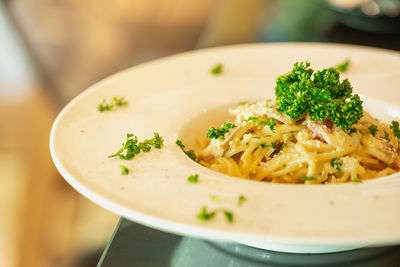 Close-up of meal served in plate