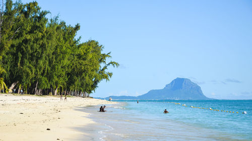 Scenic view of beach against clear blue sky