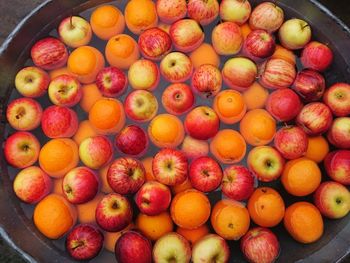 High angle view of apples