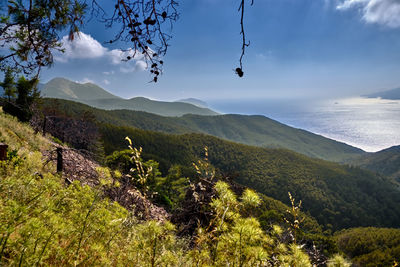 Scenic view of landscape against sky