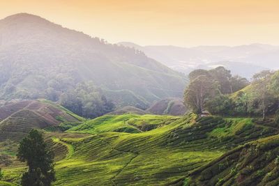 Scenic view of landscape against sky during sunset