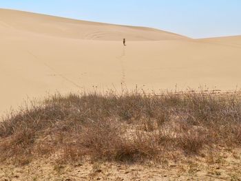 Scenic view of sand dune in desert against sky