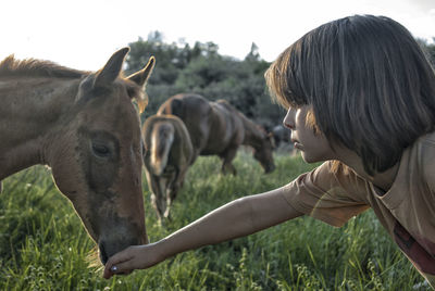 Boy playing with horse on field