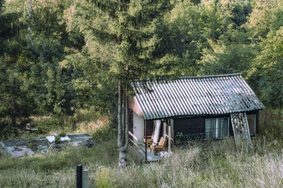 House amidst trees on field in forest