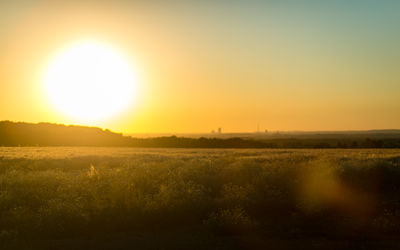 Scenic view of field against sky during sunset