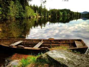 Reflection of trees in water