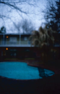 Reflection of trees in swimming pool