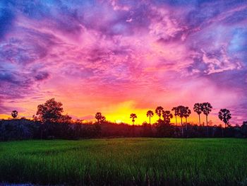 Scenic view of field against sky during sunset