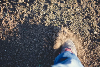 Low section of man running on land