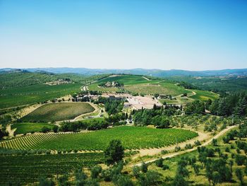 Scenic view of agricultural field against clear sky