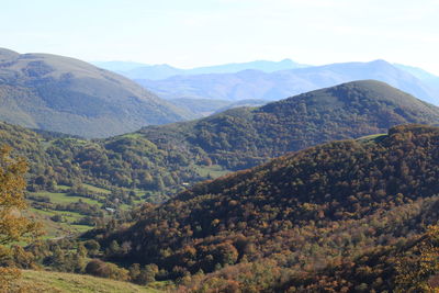 scenics - nature