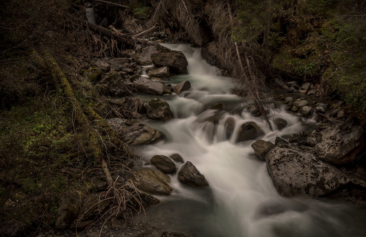 motion, nature, long exposure, no people, blurred motion, water, beauty in nature, waterfall, tranquil scene, forest, scenics, tranquility, outdoors, river, day