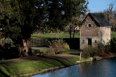Trees and houses in lawn by lake