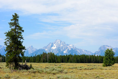 Scenic view of landscape against sky