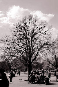 Group of people in park during winter