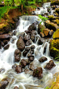 Scenic view of waterfall in forest