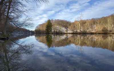 Reflection of trees in lake against sky