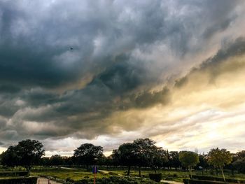 Trees on landscape against storm clouds