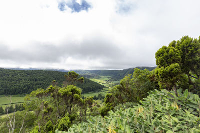 Scenic view of landscape against sky