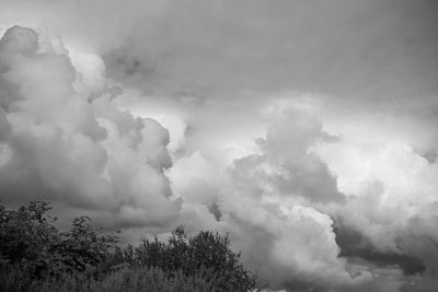 Low angle view of trees against cloudy sky