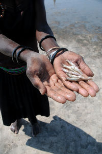 Low section of woman holding dead fishes at beach