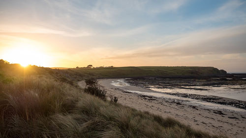 Scenic view of beach against sky during sunset