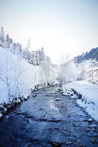 Snow covered land and river and trees against sky