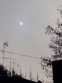 Low angle view of bare tree against sky
