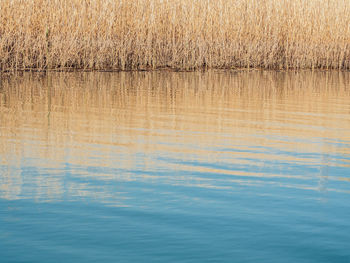 Close-up of reflection in lake