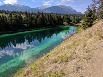 Scenic view of lake in forest