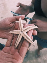 Close-up of starfish on hand 