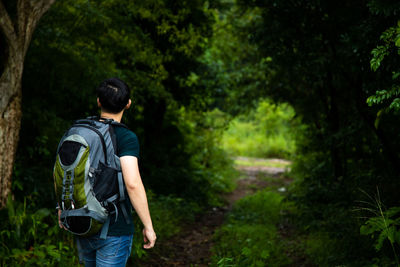 Rear view of man photographing in forest