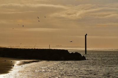 Birds flying over sea against sky