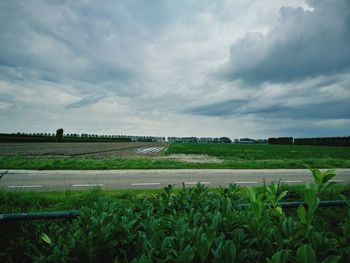 Scenic view of field against sky