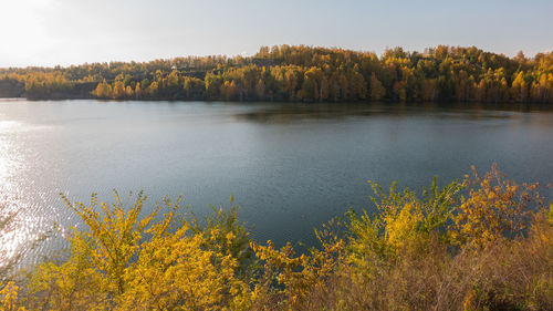 Scenic view of lake in forest during autumn