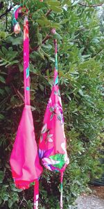 Close-up of multi colored clothespins hanging on clothesline