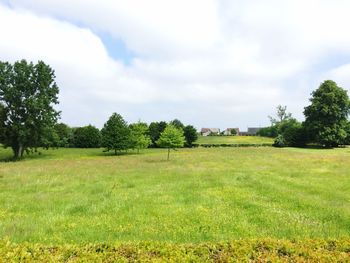 Scenic view of grassy field against cloudy sky
