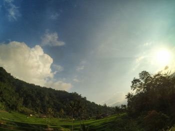 Scenic view of grassy field against sky