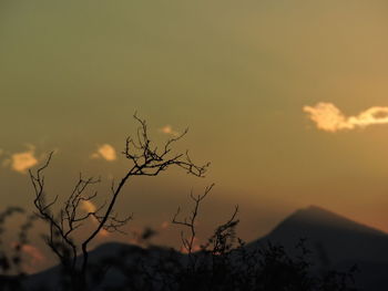 Low angle view of silhouette bare tree against sky during sunset