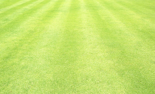 Full frame shot of soccer field