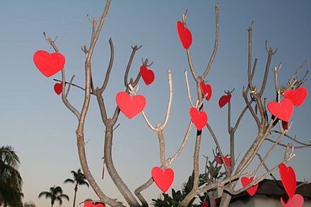 red, celebration, heart shape, hanging, no people, outdoors, day, tree, sky, close-up, nature