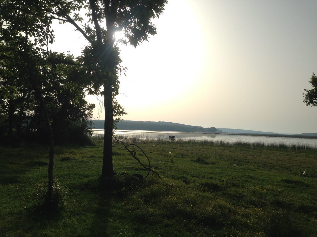 tranquil scene, tranquility, scenics, grass, beauty in nature, sun, landscape, nature, field, tree, sunset, sky, idyllic, sunlight, growth, grassy, water, non-urban scene, fence, clear sky