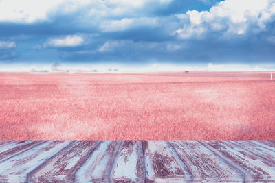 Scenic view of field against sky