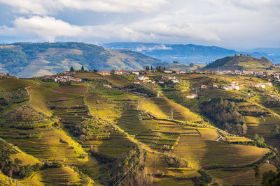 View of the douro valley with the vineyards of the terraced fields. photographed , portugal